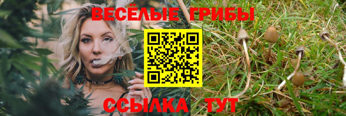 Галлюциногенные грибы Psilocybine cubensis  Вход с VPN  Октябрьский  Галлюциногенные грибы Psilocybe 